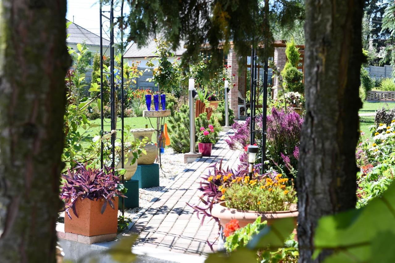 Bed and Breakfast Anna Panzio Herend Exterior foto